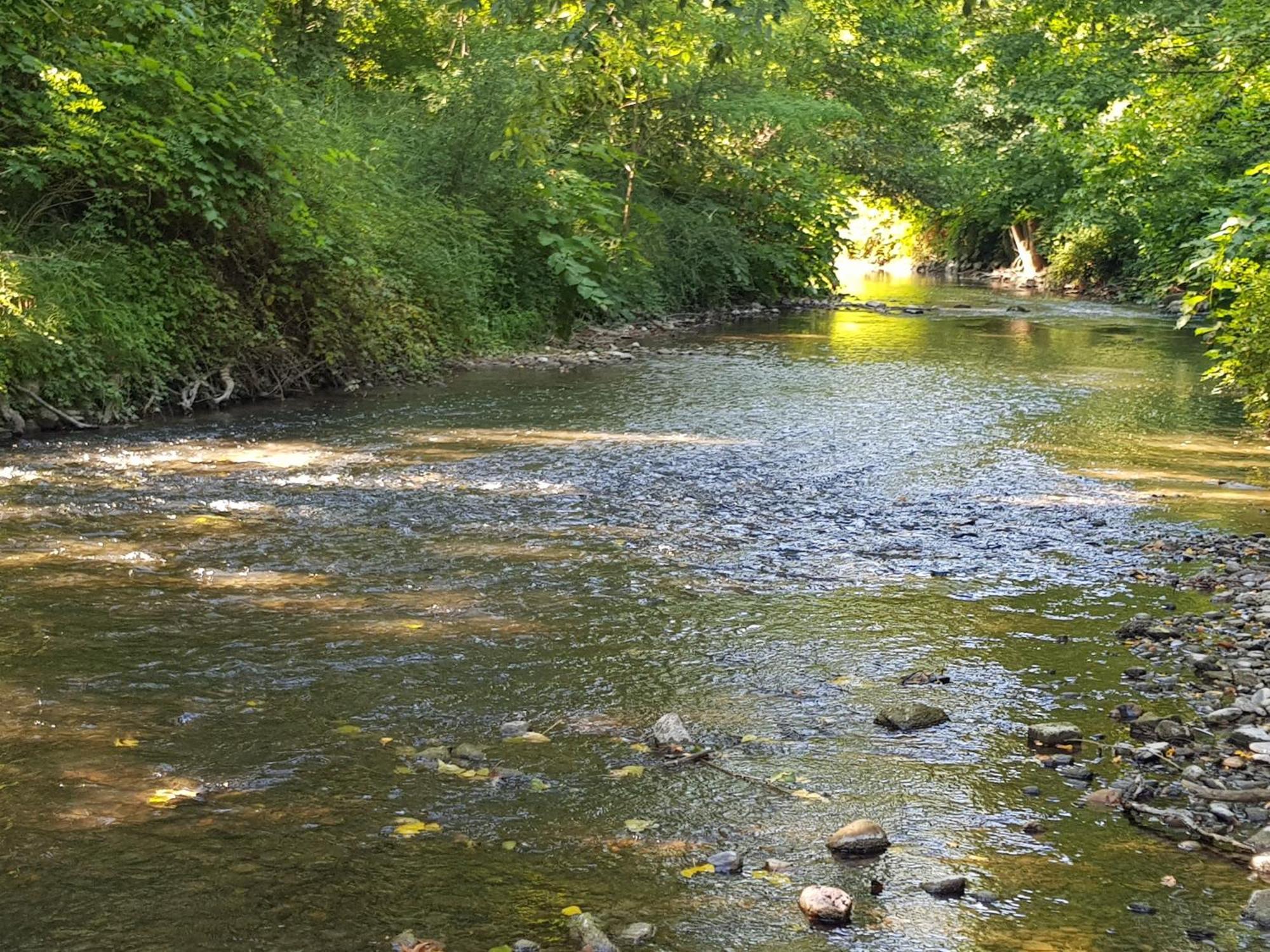 Le Gaspalette Saint-Uze Bagian luar foto